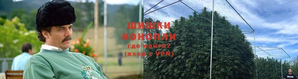 бошки Лиски