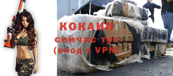 индика Дмитровск