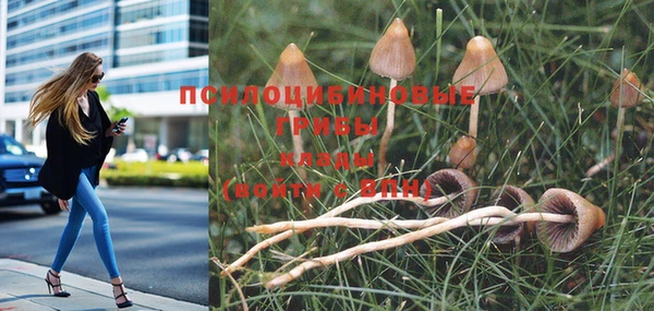 mdma Вяземский