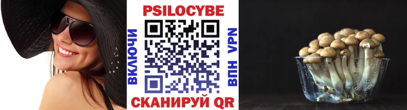 Галлюциногенные грибы мицелий  кракен ссылки  Жердевка 